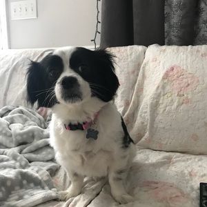 Meet your Posher, Christina